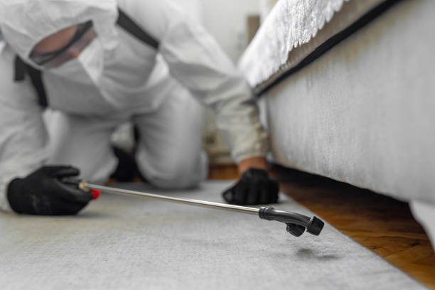 Professional Mosquito Control technician working in Everman, TX