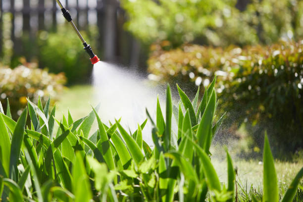 24/7 Emergency Mosquito Control experts in Everman, TX