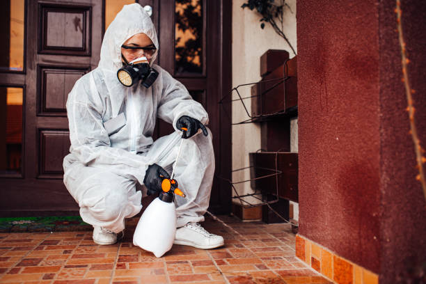 Reliable Mosquito Control contractor in Everman, TX by Nex Pest Control