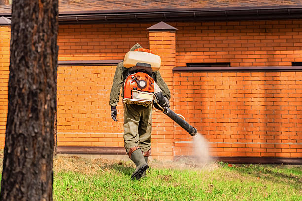 Top rated local Mosquito Control specialists in Everman, TX